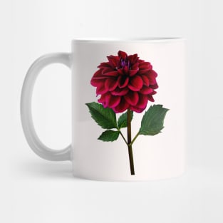 Red Dahlia in Sunshine Mug